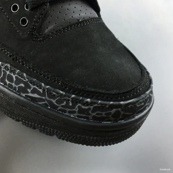 Duck Jordan Air AJ3- Retro 966 3 SportInspired Oregon 0603